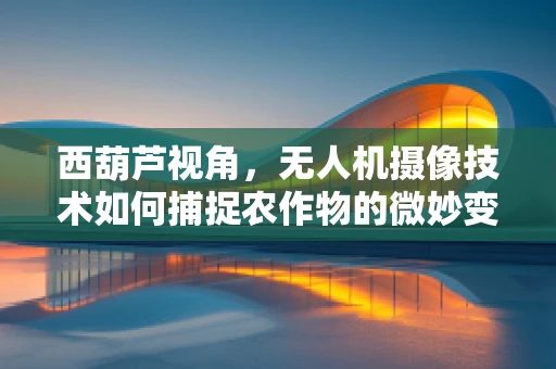 西葫芦视角，无人机摄像技术如何捕捉农作物的微妙变化？