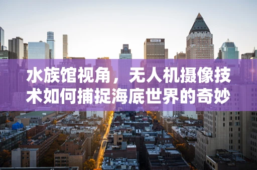 水族馆视角，无人机摄像技术如何捕捉海底世界的奇妙瞬间？