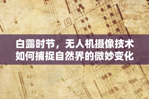 白露时节，无人机摄像技术如何捕捉自然界的微妙变化？
