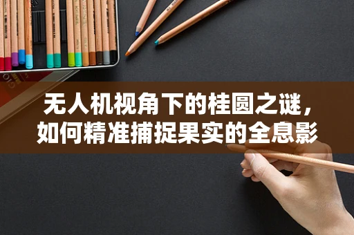 无人机视角下的桂圆之谜，如何精准捕捉果实的全息影像？