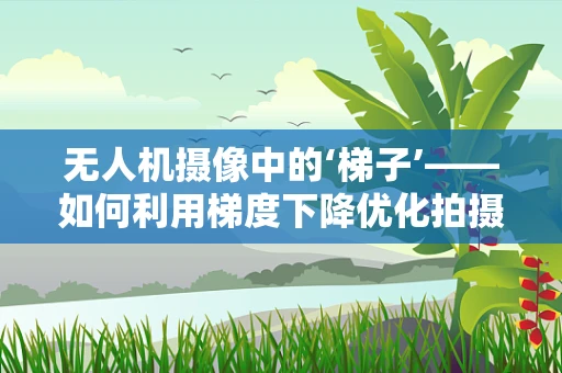 无人机摄像中的‘梯子’——如何利用梯度下降优化拍摄角度？
