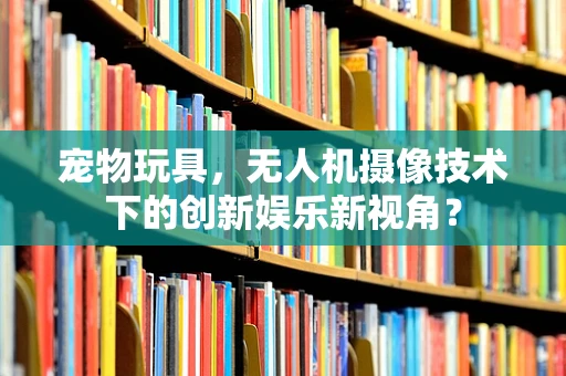 宠物玩具，无人机摄像技术下的创新娱乐新视角？