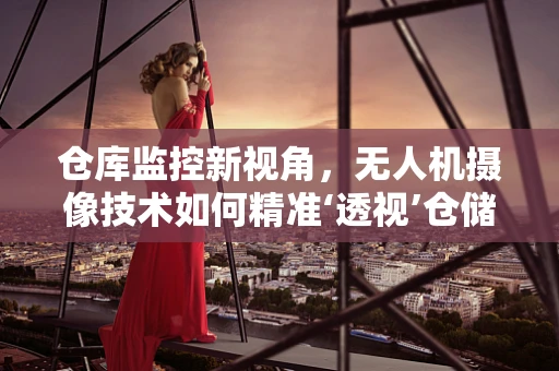 仓库监控新视角，无人机摄像技术如何精准‘透视’仓储环境？