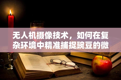 无人机摄像技术，如何在复杂环境中精准捕捉豌豆的微妙瞬间？