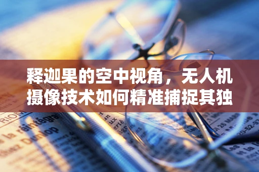 释迦果的空中视角，无人机摄像技术如何精准捕捉其独特魅力？