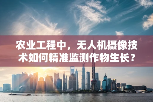农业工程中，无人机摄像技术如何精准监测作物生长？