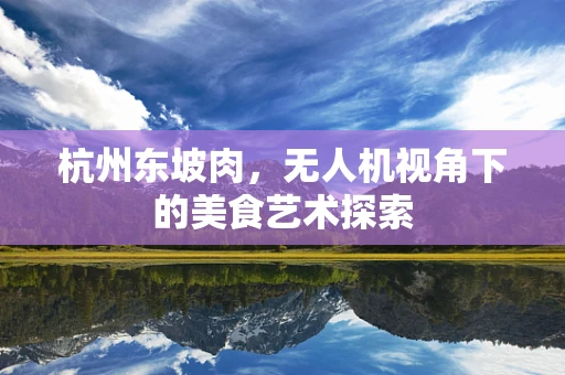 杭州东坡肉，无人机视角下的美食艺术探索