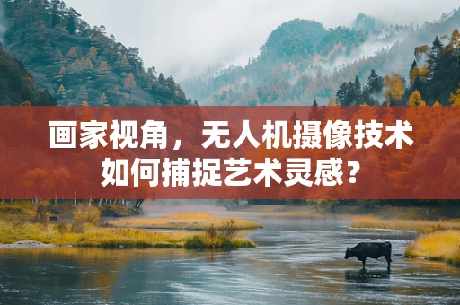 画家视角，无人机摄像技术如何捕捉艺术灵感？