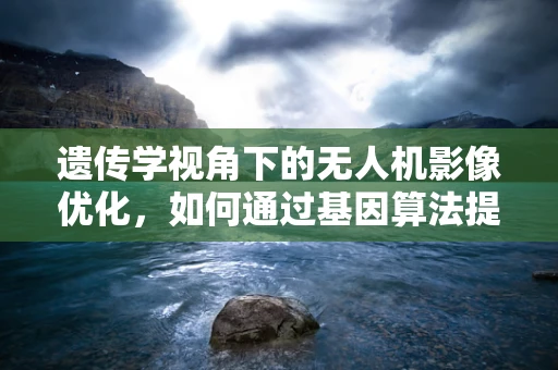 遗传学视角下的无人机影像优化，如何通过基因算法提升无人机摄像性能？
