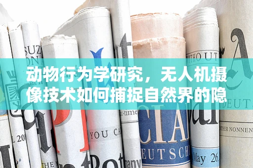 动物行为学研究，无人机摄像技术如何捕捉自然界的隐秘一角？