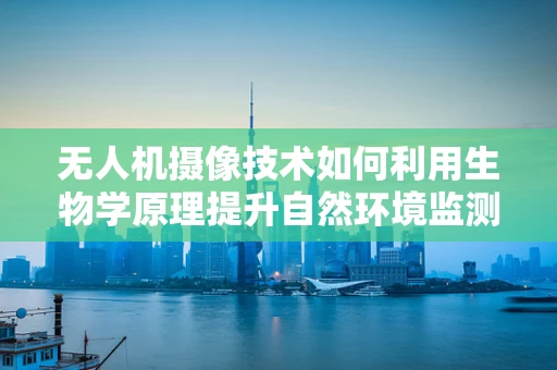 无人机摄像技术如何利用生物学原理提升自然环境监测的精准度？