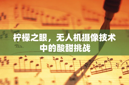柠檬之眼，无人机摄像技术中的酸甜挑战