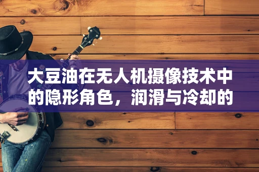 大豆油在无人机摄像技术中的隐形角色，润滑与冷却的绿色创新？