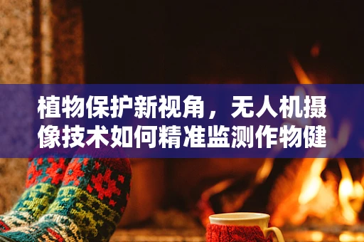 植物保护新视角，无人机摄像技术如何精准监测作物健康？