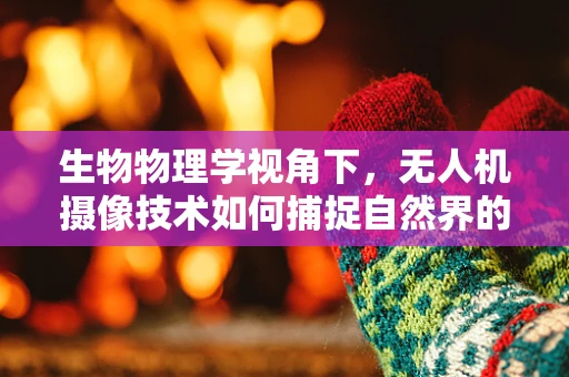 生物物理学视角下，无人机摄像技术如何捕捉自然界的微妙变化？