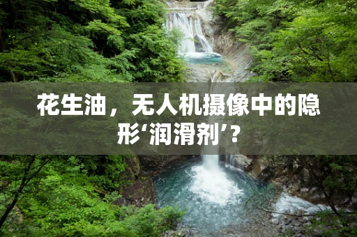 花生油，无人机摄像中的隐形‘润滑剂’？