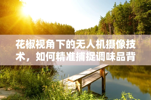花椒视角下的无人机摄像技术，如何精准捕捉调味品背后的故事？