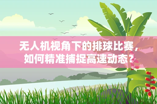 无人机视角下的排球比赛，如何精准捕捉高速动态？
