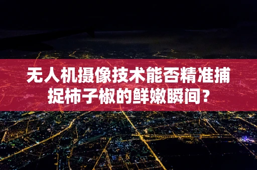 无人机摄像技术能否精准捕捉柿子椒的鲜嫩瞬间？