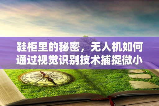 鞋柜里的秘密，无人机如何通过视觉识别技术捕捉微小细节？