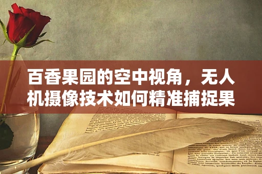 百香果园的空中视角，无人机摄像技术如何精准捕捉果实的生长瞬间？