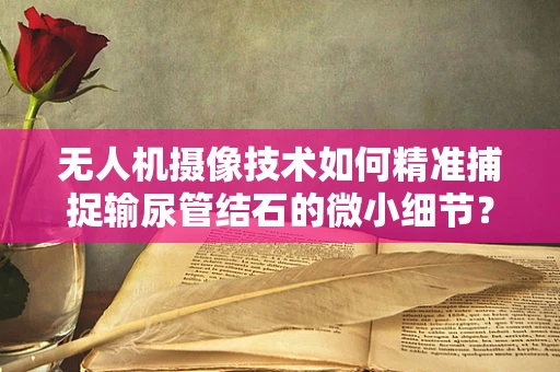 无人机摄像技术如何精准捕捉输尿管结石的微小细节？