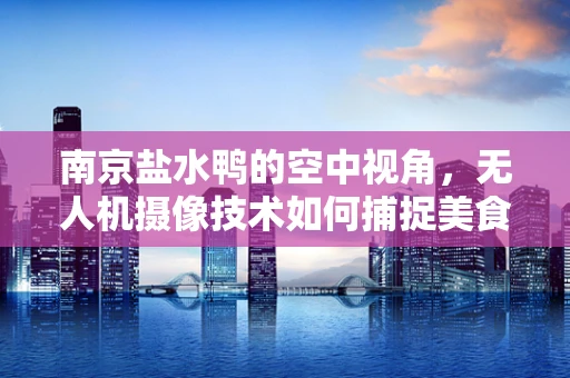 南京盐水鸭的空中视角，无人机摄像技术如何捕捉美食的‘味’觉？