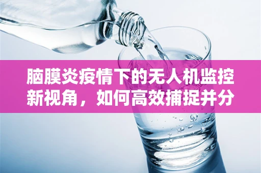 脑膜炎疫情下的无人机监控新视角，如何高效捕捉并分析疑似病例？