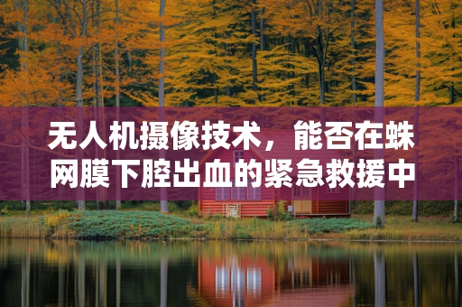 无人机摄像技术，能否在蛛网膜下腔出血的紧急救援中发挥关键作用？