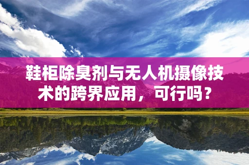 鞋柜除臭剂与无人机摄像技术的跨界应用，可行吗？