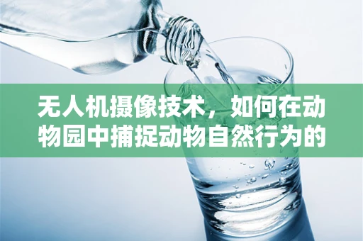 无人机摄像技术，如何在动物园中捕捉动物自然行为的无缝视角？