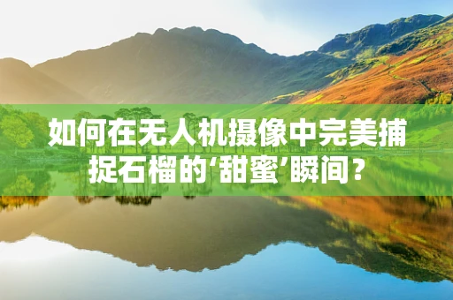 如何在无人机摄像中完美捕捉石榴的‘甜蜜’瞬间？
