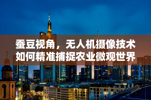 蚕豆视角，无人机摄像技术如何精准捕捉农业微观世界？