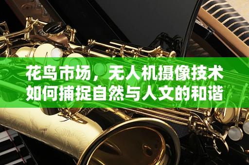 花鸟市场，无人机摄像技术如何捕捉自然与人文的和谐共生？