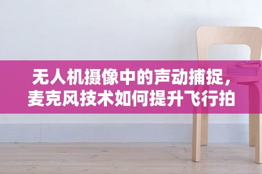 无人机摄像中的声动捕捉，麦克风技术如何提升飞行拍摄的音质？
