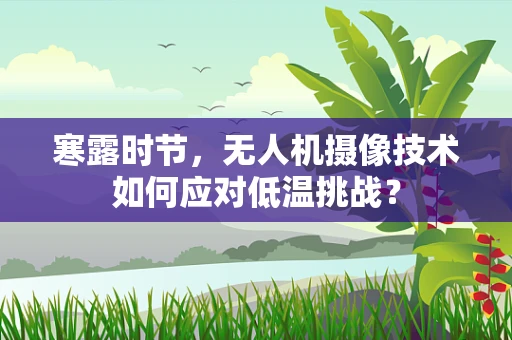 寒露时节，无人机摄像技术如何应对低温挑战？