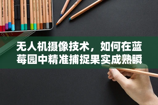 无人机摄像技术，如何在蓝莓园中精准捕捉果实成熟瞬间？