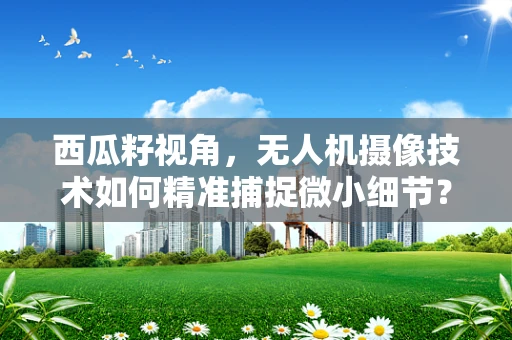 西瓜籽视角，无人机摄像技术如何精准捕捉微小细节？