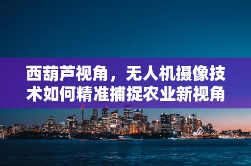 西葫芦视角，无人机摄像技术如何精准捕捉农业新视角？