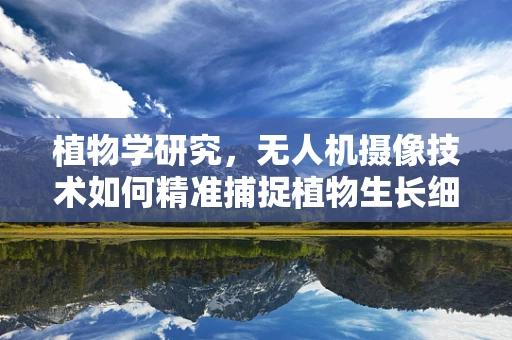 植物学研究，无人机摄像技术如何精准捕捉植物生长细节？
