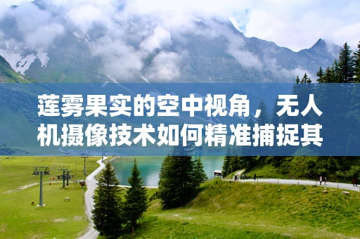 莲雾果实的空中视角，无人机摄像技术如何精准捕捉其独特魅力？
