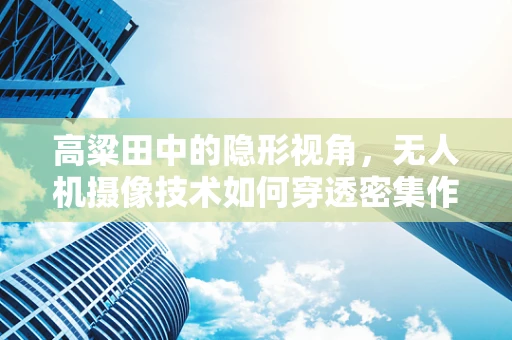 高粱田中的隐形视角，无人机摄像技术如何穿透密集作物群？