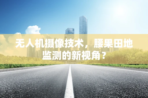 无人机摄像技术，腰果田地监测的新视角？
