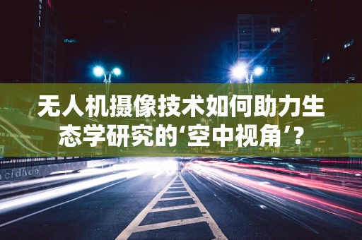 无人机摄像技术如何助力生态学研究的‘空中视角’？
