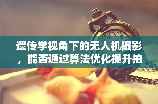 遗传学视角下的无人机摄影，能否通过算法优化提升拍摄‘基因’？