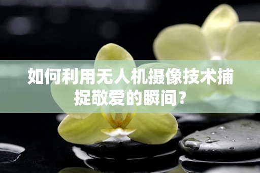 如何利用无人机摄像技术捕捉敬爱的瞬间？