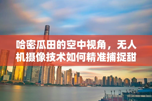 哈密瓜田的空中视角，无人机摄像技术如何精准捕捉甜美瞬间？