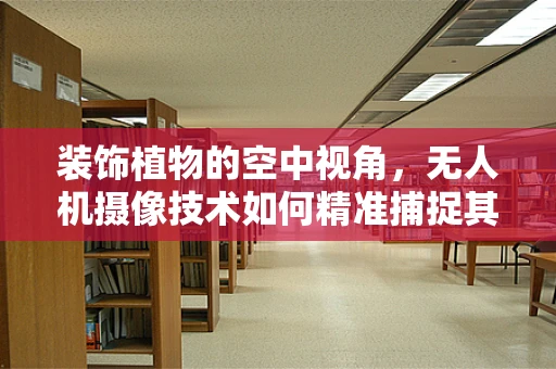 装饰植物的空中视角，无人机摄像技术如何精准捕捉其魅力？