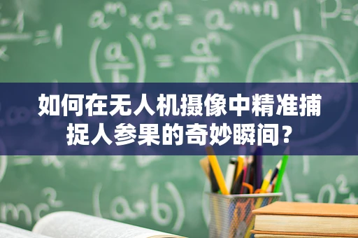 如何在无人机摄像中精准捕捉人参果的奇妙瞬间？