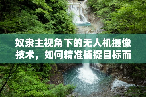 奴隶主视角下的无人机摄像技术，如何精准捕捉目标而不侵犯隐私？